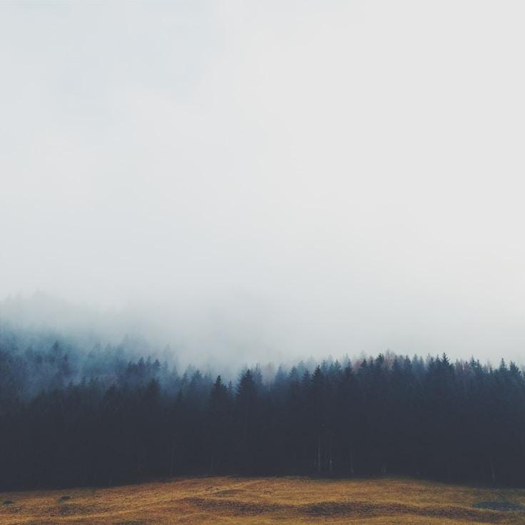 Protected areas overview